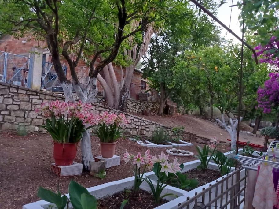 Villa Lidi Stavros  Luaran gambar