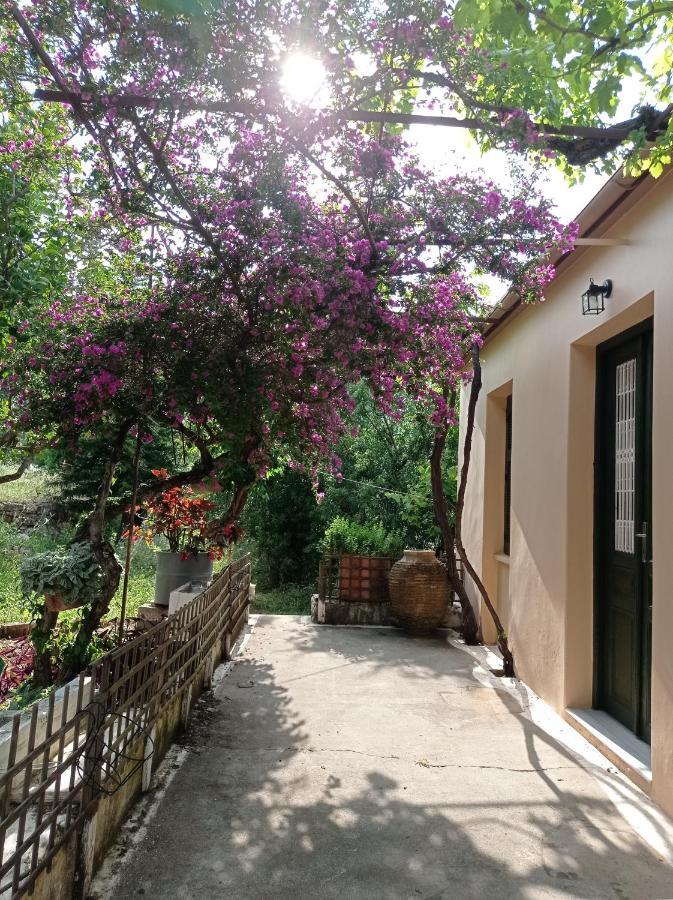 Villa Lidi Stavros  Luaran gambar