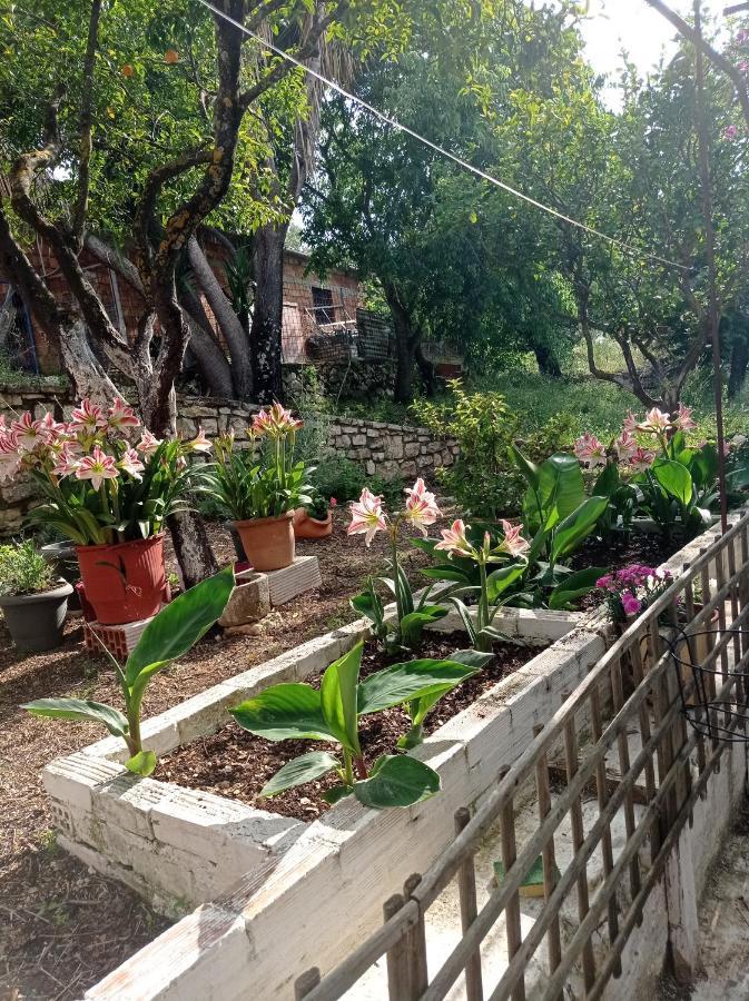Villa Lidi Stavros  Luaran gambar